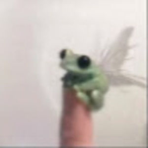 Meet your Posher, Localhomie